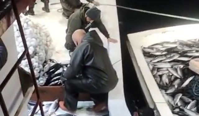 Binlerce palamut tekneden taştı, yardıma başka tekne geldi