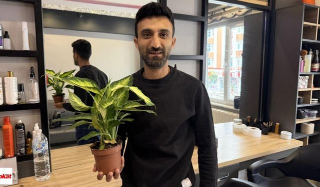 Evlerde Süs Bitkisi Olarak Bulunuyor: "Ağlayan Çiçek” Bu Kez Ağlattı