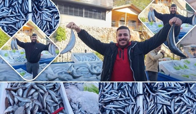 Niksar Pazartesi Pazarında Balık Tezgâhlarında Bolluk Yaşanıyor Palamuta Yoğun İlgi Var
