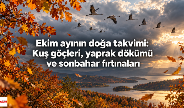 Ekim ayının doğa takvimi: Kuş göçleri, yaprak dökümü ve sonbahar fırtınaları