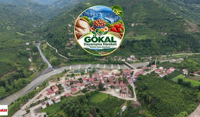 Gökal Dayanışma Hareketi Kuruluyor: “Gökalımızın geleceği için birlikte hareket edeceğiz”