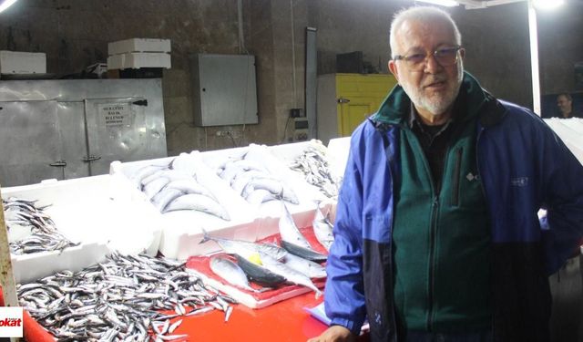 Hamsi Tezgâhta Bol Ama Kilo Fiyatı El Yakıyor! İşte Erbaa’da Güncel Balık Fiyatları
