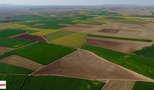 Hazineye Ait Taşınmazların Satış, Kiralama ve İrtifak Hakkı Tesisi Yapılacak