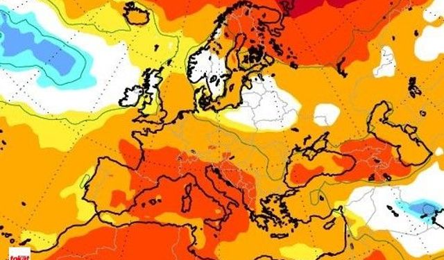 Tokat Geçen Seneyi Arayabilir Beklenen De Gelmeyebilir Sadece 1500'ün Üstünde Görülecek