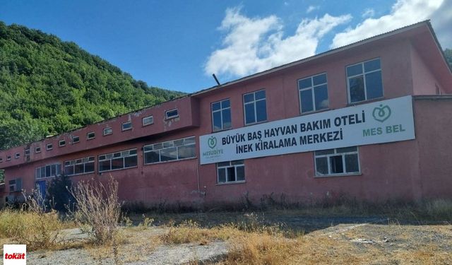 Tokat’ın Yanı Başındaki İnek Oteli Boş Kaldı