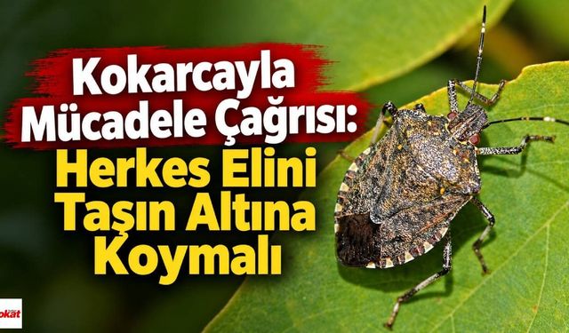 Kokarcayla Mücadele Çağrısı: Herkes Elini Taşın Altına Koymalı