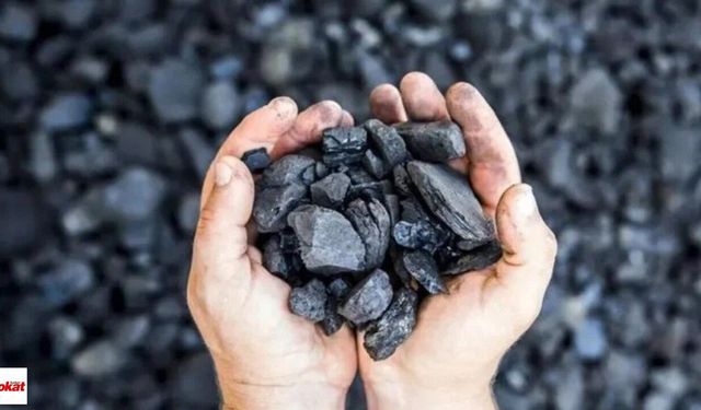 Kömür Dağıtım Hizmeti Alımı Düzeltme İlanı