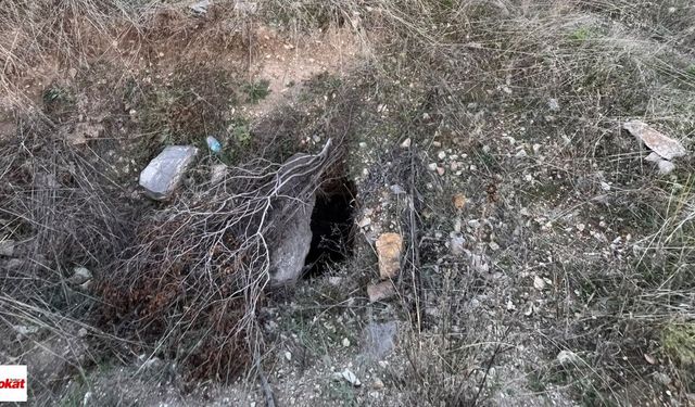 Niksar’da Kaçak Define Arayan 3 Kişi Suçüstü Yakalandı