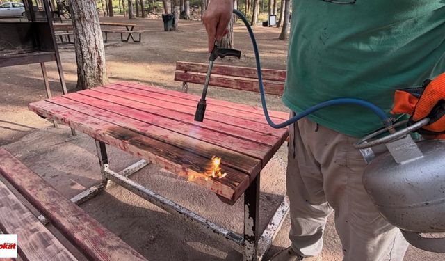 Parkın Konforunu Böyle Geri Getirdiler: Niksar'da Ayvaz Parkına Güncelleme