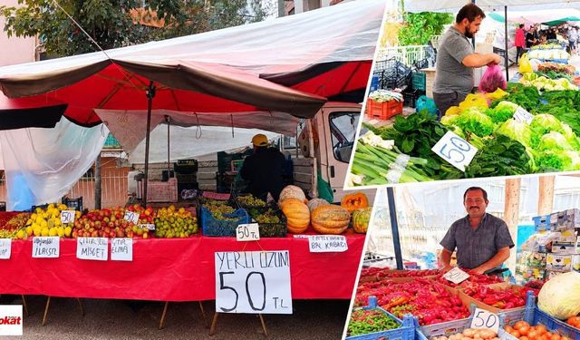 Tokat’ta Pazarda Sonbahar Renkleri! Üzüm, Elma, Ayva ve Hünnap Kaç Lira?