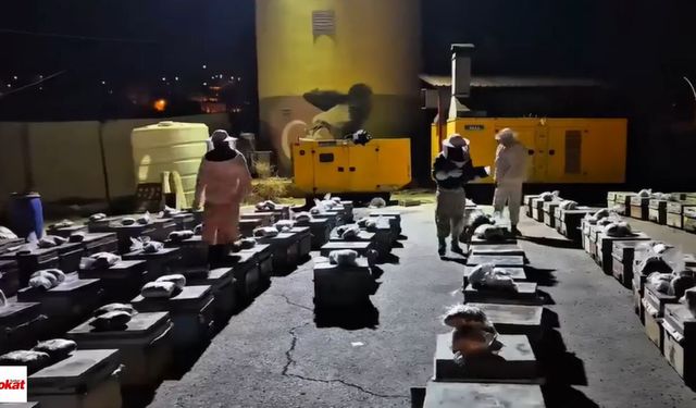 Polisin durdurduğu tırdan çıktı: 91 kilo uyuşturucuyu arı peteklerine gizlediler