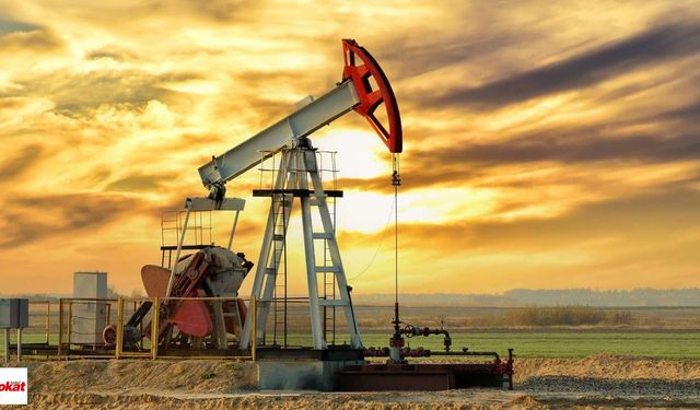 293 Kuyuda Sondaj Yapılacak Günlük Petrol Üretimi 144 Bin Varile Çıkacak Takvimi Netleşti Kara Ve Denizlerde Yapılacak