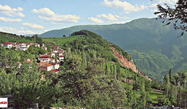 Tokat'ın En Az Köyü Olan İlçesi Sadece 7 Köyü 1 Kasabası Bulunuyor  En Küçük Köy Ağına Sahip Yerleşimi Burada Bulunuyor