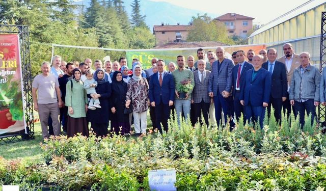 Tokat’ta süs bitkileri üretimine 905 bin TL’lik destek! 3 bin 900 fidan dağıtıldı