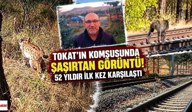 Tokat’ın Komşusunda Şaşırtan Görüntü! 52 Yıldır İlk Kez Karşılaştı