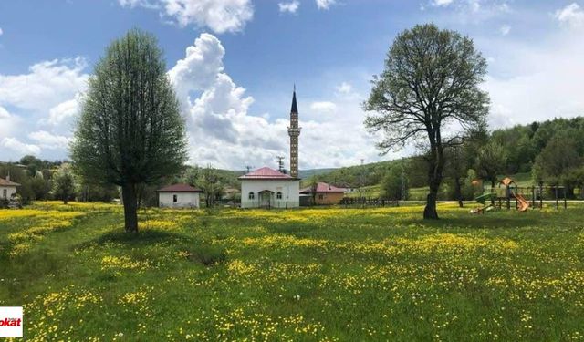 Tokat’ta Bir Köyün Adı Değişti! Bakanlık Onayıyla Yeni İsmi Belli Oldu