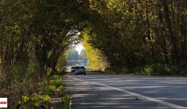 Tokat’ta Bu Yoldan Geçen Bir Daha Bakıyor! Sonbaharın Büyüleyen Manzarası