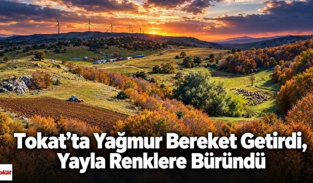 Tokat’ta Yağmur Bereket Getirdi, Yayla Renklere Büründü