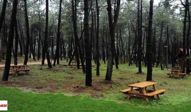 Üçtepeler Konaklamasız Orman Parkı İşletme Hakkı Kiraya Verilecek