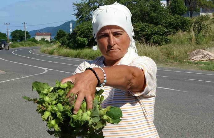 Taze fındık tezgahlarda 200 lira