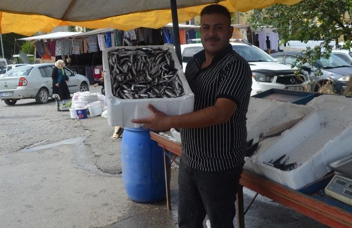 Niksar’da 200 Liralık Hamsi Akşam Olmadan Tükendi Tezgâhlar Boşaldı