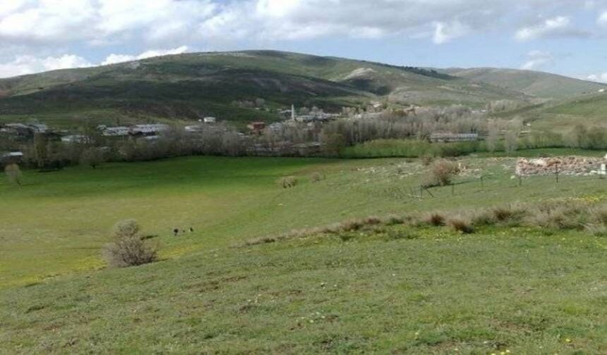 Batmantaş Yaylası, Çam ormanları içinde eşsiz bir doğaya sahip.