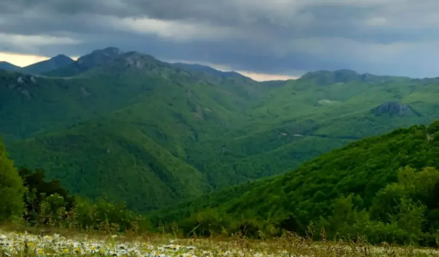 Tokat Yaylalarında Keşfedilecek Daha Çok Güzellik Var
Tokat, Çatak Yaylası'nın yanı sıra Topçam, Batmantaş, Akbelen (Bizeri) gibi birçok yaylaya ev sahipliği yapıyor. Bu yaylalar, bir zamanlar hayvancılık amacıyla kullanılırken şimdilerde doğa yürüyüşleri, kamp ve dinlenme alanı olarak popülerliğini artırıyor.