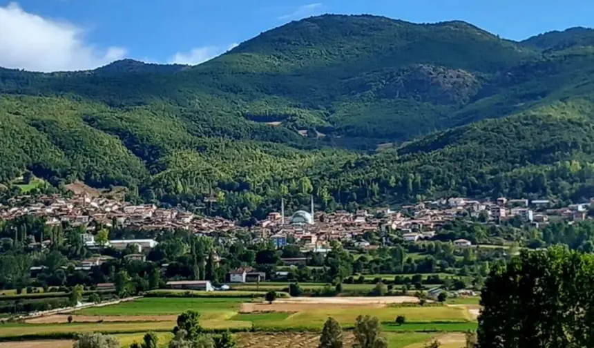 Yayla Turizminde Çatak Yaylası'nın Özel Yeri
Çatak Yaylası, Tokat yaylaları arasında ilkbahar güzelliğiyle öne çıkan, çiçeklerle dolu yolları ve yeşilin binbir tonunu barındıran doğasıyla özel bir yere sahip. Bu yayla, doğa yürüyüşleri, bisiklet turları, sportif olta balıkçılığı gibi aktiviteler için de ideal bir konumda.