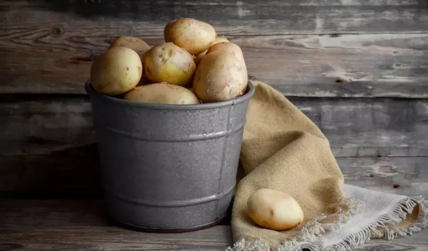 Filizlenmiş Patatesleri Yemek Zararlı mı? İşte Bilmeniz Gerekenler