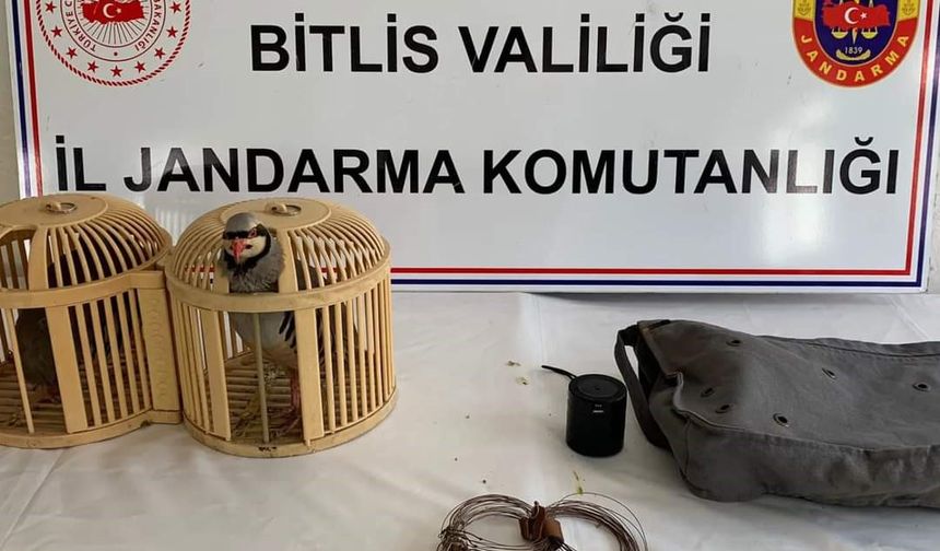 Bitlis’te keklik avlayan 2 kişiye 26 bin 635 lira para cezası uygulanacak