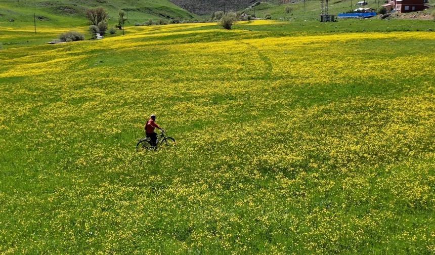 Tarihi köy odalarıyla ünlü Sarıçiçek köyünün yaylasından ve dağlarından akan sular, iki tarihi köprünün yer aldığı derelerin oluşturduğu vadide toplanıyor.
