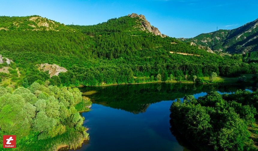 Almus'a giden yerli ve yabancı turistlerin uğrak noktası olan yayla doğal güzelliğiyle görsel şölen oluşturuyor.