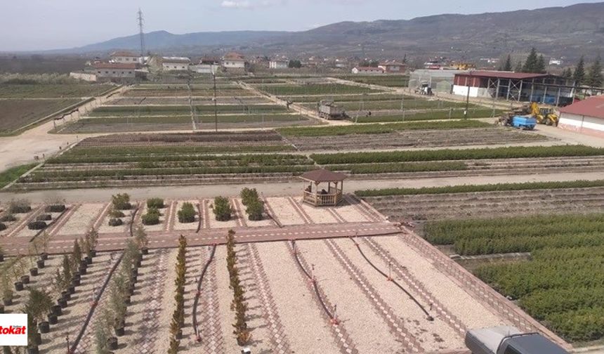 Vezirköprü'de 11 hektar alanda yabani zeytin (Delice) aşılaması yapıldı
Vezirköprü Orman İşletme Müdürlüğü Ağaçlandırma Şefliği tarafından bölge ormanlarından doğal olarak yetişen gelir getirici orman ürünlerinin ekonomiye kazandırılması çerçevesinde Saraycık ve Karanar Mahalleleri mevkisinde 11 hektarlık alanda yabani zeytin (Delice) aşılaması gerçekleştirildi.