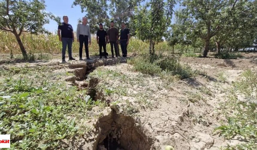 Bahçede 100 metrelik yarık oluştu, fay hattını hatırlattı: 'Artık sözün bittiği yerdeyiz'