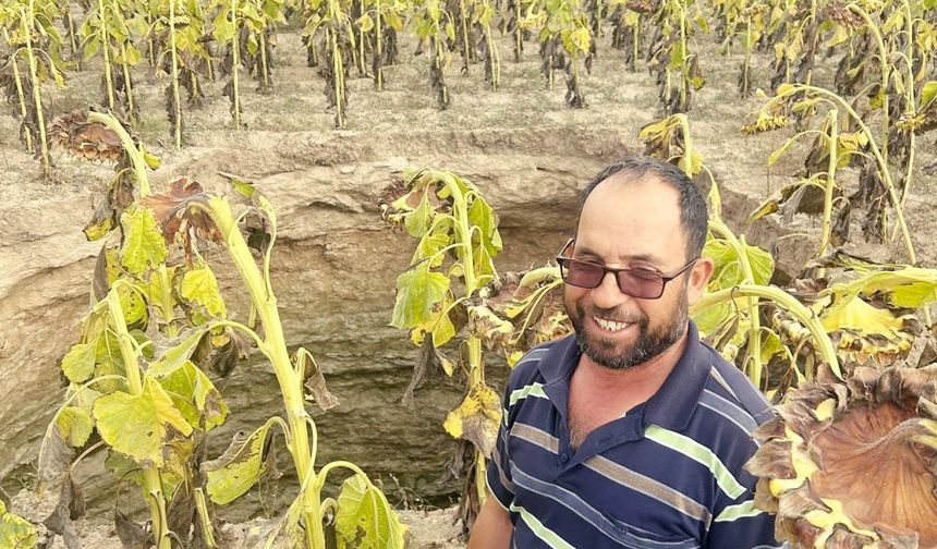 Eskişehir'in Çifteler ilçesindeki ayçiçek tarlasında 20 metrelik dev obruk oluştu.