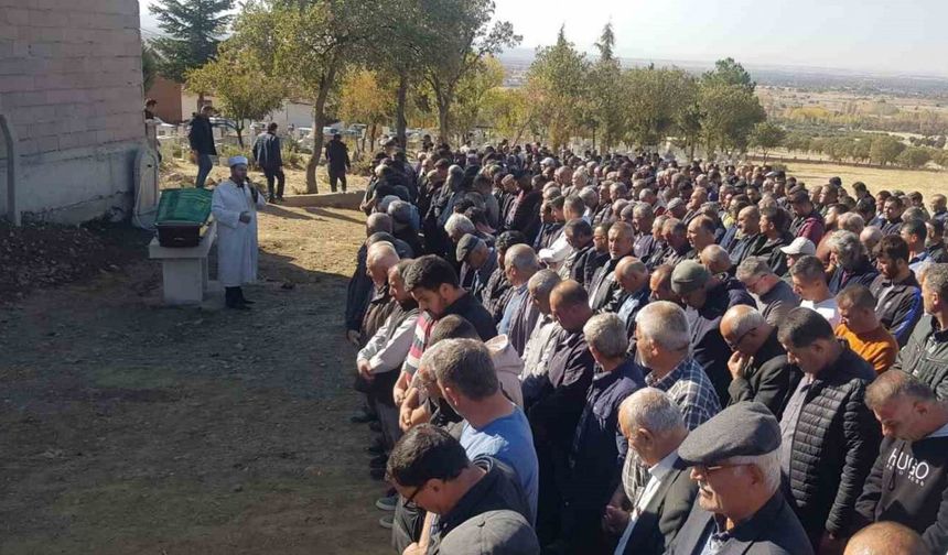 Arı sokması sonucu canndan oldu