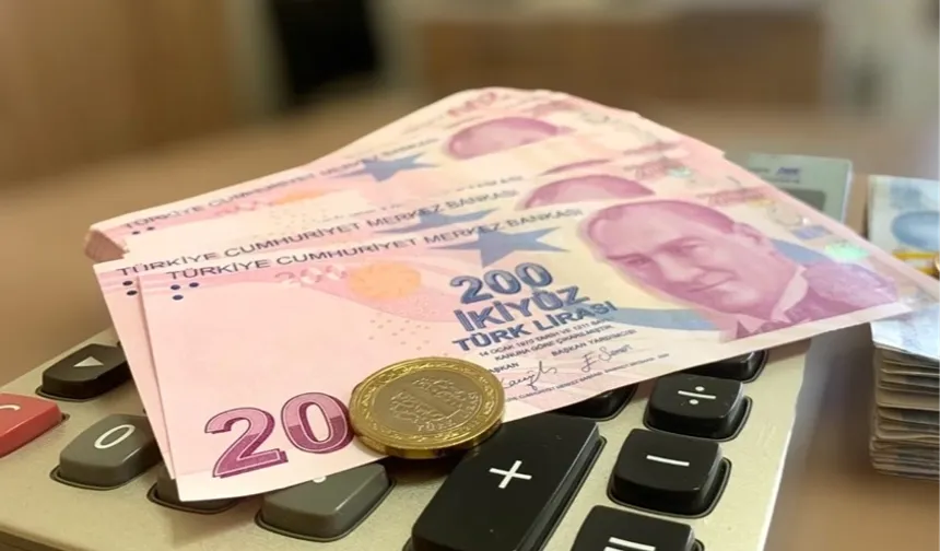 Doğum Desteği İlk ödemeleri Mayıs'ta