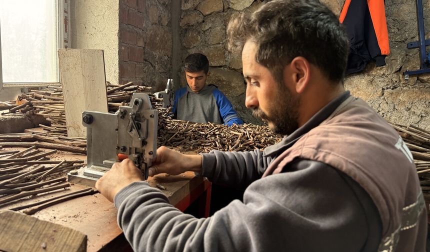 Bu işlemlerin ardından satışa hazır hale gelen fidanlar, Türkiye genelinde 35 farklı ile gönderiliyor. Toprakla buluşan fidanlardaki yapraklar kasım ayında sökümüne başlanıyor.