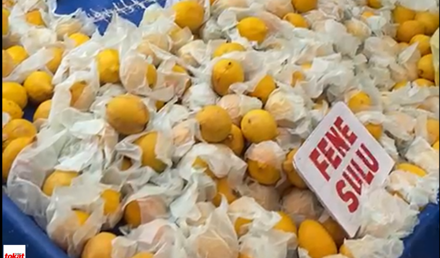 Tokat'ın Pazarında Yöresel Şive Coşkusu: "Limonlar Fene Sulu!"