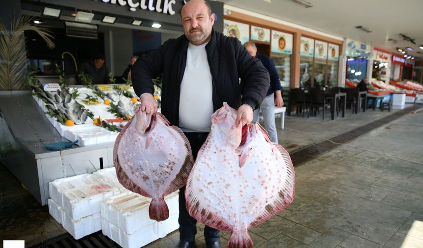 Ordu'daki balık tezgahlarında kalkan bereketi