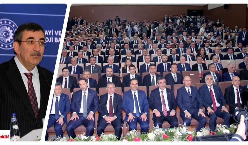 "Ordu, Giresun, Rize ve Tokat'a 22 yılda yaklaşık 1 trilyon liralık kamu yatırımı yaptık