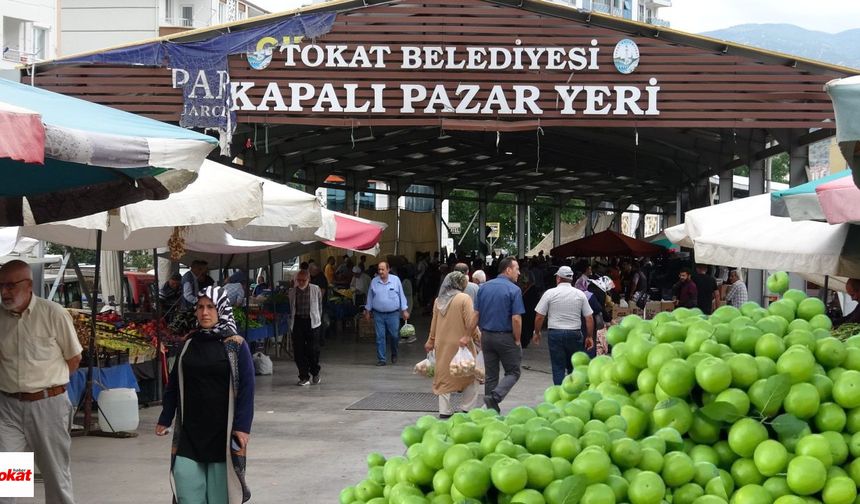 Tokat'ta Tezgahlar Yeşile Büründü: Erik Sezonu Başladı