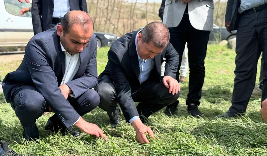 Tokat’ta Dolu Felaketi: Milletvekili Arslan Sahada