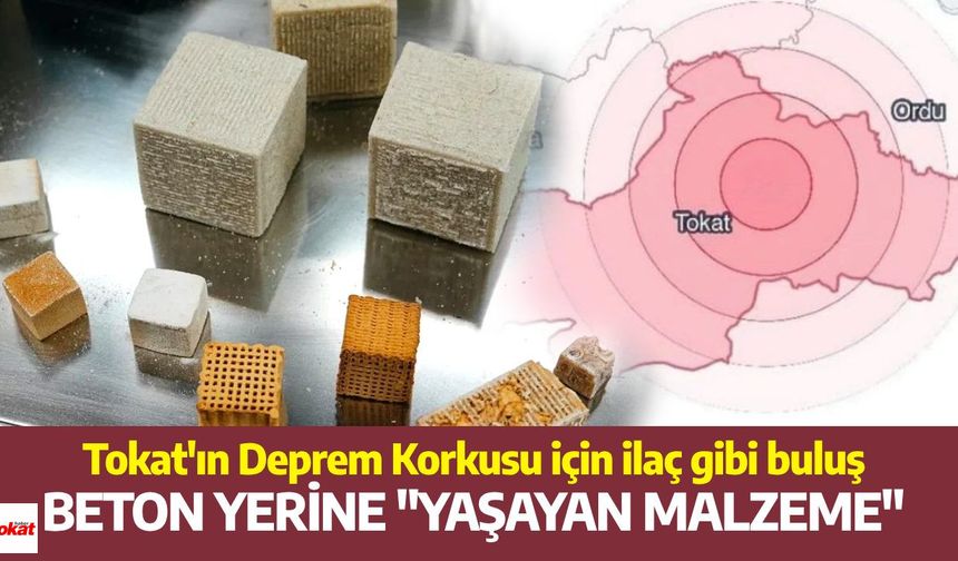 Tokat'ın Deprem Korkusu için ilaç gibi buluş: Beton yerine "Yaşayan malzeme"