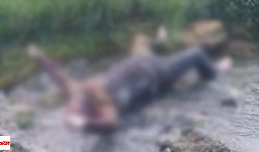 Baraj Suları Çekilince Gerçek Ortaya Çıktı: Cezaevi Firarisi Derede Ölü Bulundu