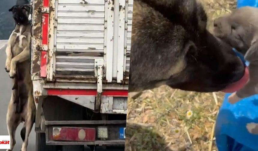Yozgat’ta Tepki Çeken Görüntünün Ardındaki Gerçek Ortaya Çıktı