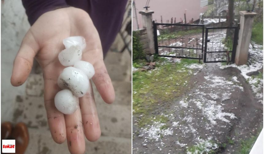 Tokat’ta Dolu Felaketi: Almus, Niksar ve Çamlıbel’de Zarar Büyük!