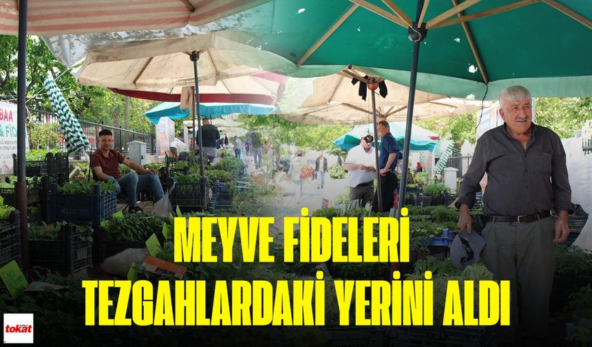 Erbaa’da Organik Fideler Pazara Çıktı: Yükselen Maliyetler Üreticiyi Zorluyor