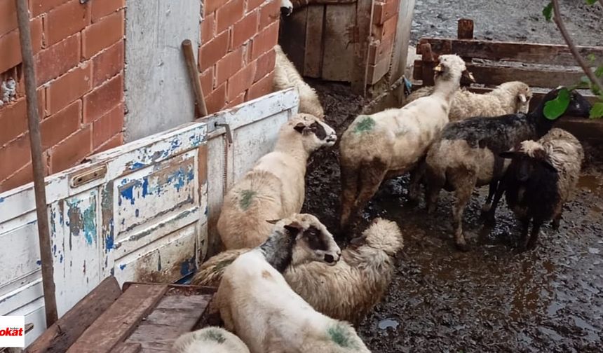 Kendi İşini Kurma Fırsatı: Tokat’ta 240 Bin TL’lik Hibe