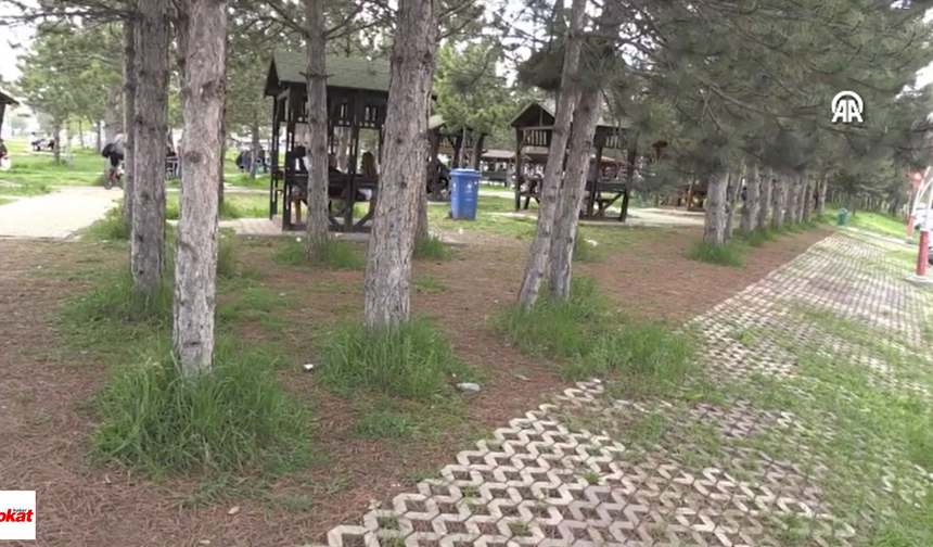 Kenelerle Mücadele: KKKA Riski Artıyor, Uzmanlardan Uyarılar!
